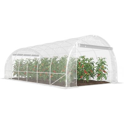 OEM Serra A Tunnel 3x6x2 M Con Porte Avvolgibili, Telaio In Acciaio E Copertura In Pe Anti-uv, Trasparente OEM Serra A Tunnel 3x6x2 M Con Porte Avvolgibili, Telaio In Acciaio E Copertura In Pe Anti-uv, Trasparente