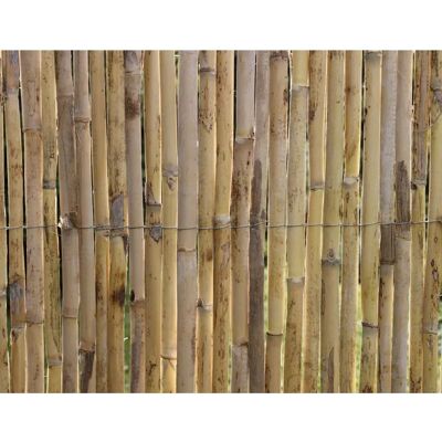 Nature Canne Natural Reeds 300 X 101 Cm Resistente Facile Installazione Nature Canne Natural Reeds 300 X 101 Cm Resistente Facile Installazione