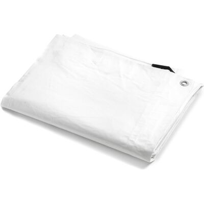 STI Telo Pvc Ultra 260gr Occhiellato Copertura Impermeabile Esterni Bianco 2,5x4m STI Telo Pvc Ultra 260gr Occhiellato Copertura Impermeabile Esterni Bianco 2,5x4m