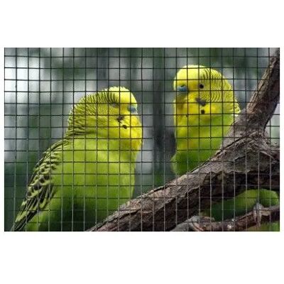 Nature Recinzione Rete Metalex Natural Zincata 6,4 Mm 0,5x3 M Nature Recinzione Rete Metalex Natural Zincata 6,4 Mm 0,5x3 M