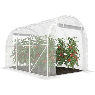 OEM Serra A Tunnel 2x3x2 M Con Porte Avvolgibili, Telaio In Acciaio E Copertura In Pe Anti-uv, Trasparente OEM Serra A Tunnel 2x3x2 M Con Porte Avvolgibili, Telaio In Acciaio E Copertura In Pe Anti-uv, Trasparente