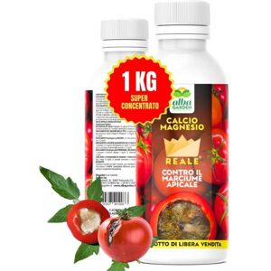 ALBAGARDEN Calcio Magnesio Concime Liquido Concentrato Nutriente Per Orto Contro Marciume Apicale Del Pomodoro, Necrosi, Disseccamenti X 1 Kg ALBAGARDEN Calcio Magnesio Concime Liquido Concentrato Nutriente Per Orto Contro Marciume Apicale Del Pomodoro, Necrosi, Disseccamenti X 1 Kg