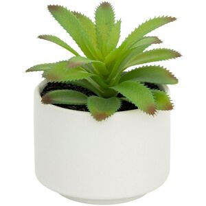 ATMOSPHERA Pianta Grassa In Vaso H13 - Modello A Bianco - Créateur D'Intérieur ATMOSPHERA Pianta Grassa In Vaso H13 - Modello A Bianco - Créateur D'Intérieur