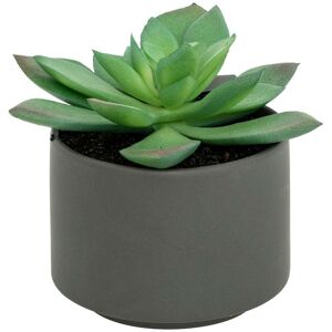 ATMOSPHERA - Pianta Grassa In Vaso H13 - Modèle D/gris Créateur D'Intérieur ATMOSPHERA - Pianta Grassa In Vaso H13 - Modèle D/gris Créateur D'Intérieur