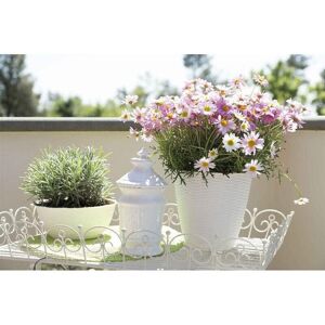 Bama Portavaso Porta Vaso Panna Paglia D29 Cm H 27 Cm 34031 Piante Fiori Bama Portavaso Porta Vaso Panna Paglia D29 Cm H 27 Cm 34031 Piante Fiori