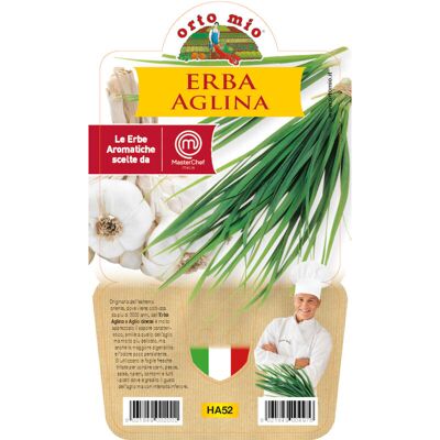 Mitac 1 Pianta Di Erba Aglina Vaso 14cm Masterchef Ortomio Aromatiche Mitac 1 Pianta Di Erba Aglina Vaso 14cm Masterchef Ortomio Aromatiche