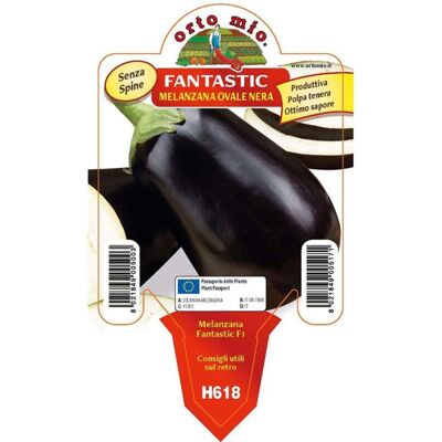 Mitac Melanzana Tonda Ovale Nera Fantastic Mitac Melanzana Tonda Ovale Nera Fantastic
