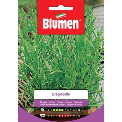 BLUMEN Semi Di Dragoncello - BLUMEN Semi Di Dragoncello -