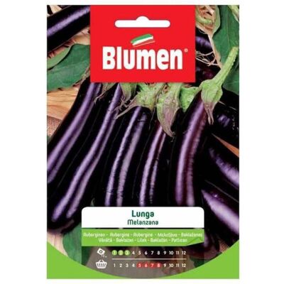 BLUMEN Semi Di Melanzana Lunga - BLUMEN Semi Di Melanzana Lunga -