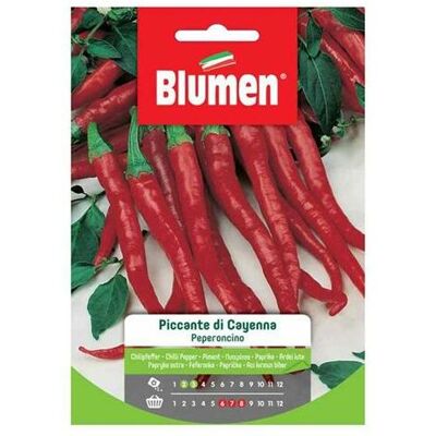 BLUMEN Semi Di Peperoncino Piccante Cayenna - BLUMEN Semi Di Peperoncino Piccante Cayenna -