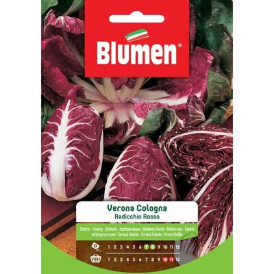 BLUMEN Semi Di Radicchio Rosso Verona Cologna - BLUMEN Semi Di Radicchio Rosso Verona Cologna -