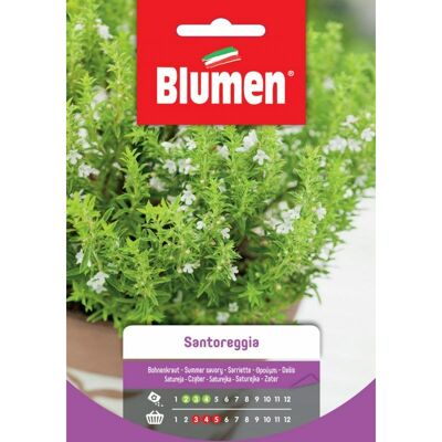BLUMEN Semi Di Santoreggia - BLUMEN Semi Di Santoreggia -