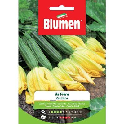 BLUMEN Semi Di Zucchino Da Fiore - BLUMEN Semi Di Zucchino Da Fiore -