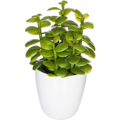 ATMOSPHERA Pianta Succulenta E Cactus H18cm - Modello F - Créateur D'Intérieur ATMOSPHERA Pianta Succulenta E Cactus H18cm - Modello F - Créateur D'Intérieur