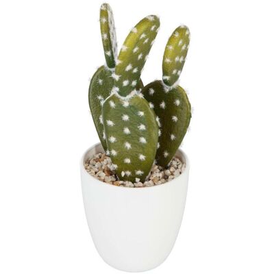 ATMOSPHERA Pianta Succulenta E Cactus H18cm - Modello C - Créateur D'Intérieur ATMOSPHERA Pianta Succulenta E Cactus H18cm - Modello C - Créateur D'Intérieur