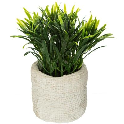 ATMOSPHERA Pianta Artificiale In Vaso Di Cemento H14cm - Molele 2 - Créateur D'Intérieur ATMOSPHERA Pianta Artificiale In Vaso Di Cemento H14cm - Molele 2 - Créateur D'Intérieur