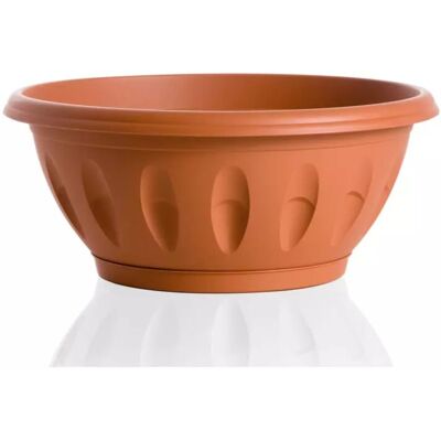 Bama Ciotola Alba D. 20 Terracotta Bama Ciotola Alba D. 20 Terracotta