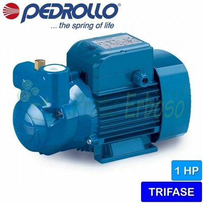 PEDROLLO Ckr 90 - Elettropompa Autoadescante Ad Anello Liquido Trifase PEDROLLO Ckr 90 - Elettropompa Autoadescante Ad Anello Liquido Trifase