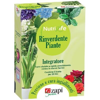 ZAPI - 309110 - Rinverdente Per Piante Chelato 5 Buste Da 20 G ZAPI - 309110 - Rinverdente Per Piante Chelato 5 Buste Da 20 G