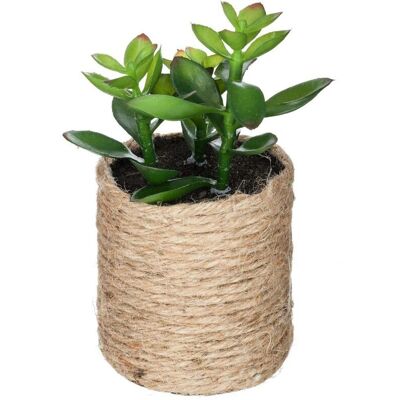 ATMOSPHERA Pianta Artificiale H16cm - Modello 2 Créateur D'Intérieur ATMOSPHERA Pianta Artificiale H16cm - Modello 2 Créateur D'Intérieur