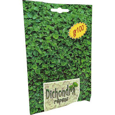 BOTTOS Sementi Dichondra Repens 100g - Semi per Tappeti e Ombra BOTTOS Sementi Dichondra Repens 100g - Semi per Tappeti e Ombra