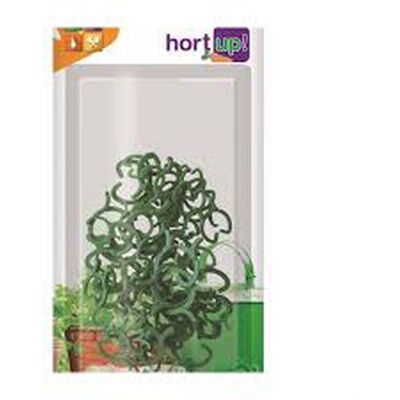 FLOWER Fiore Hort Raro Per Piante E Pacchetto Entutorodo 50 Uds FLOWER Fiore Hort Raro Per Piante E Pacchetto Entutorodo 50 Uds