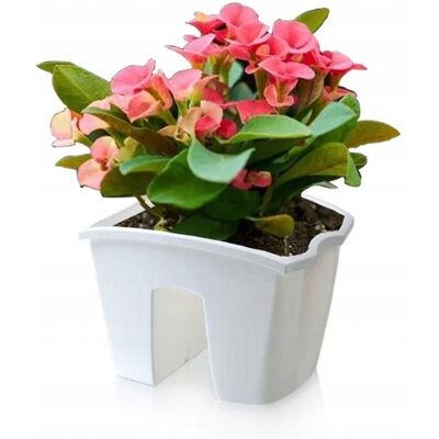 Prosperplast Vaso Da Fiori Da Ringhiera Crown Dcro240 Bianco Prosperplast Vaso Da Fiori Da Ringhiera Crown Dcro240 Bianco