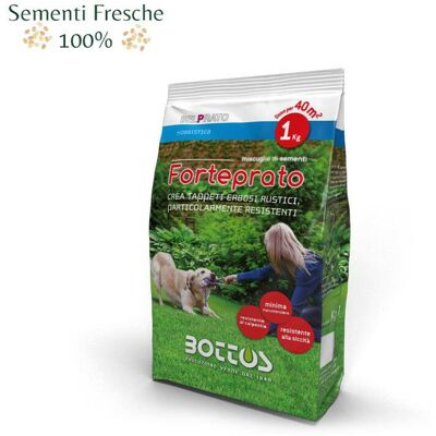BOTTOS Forteprato / 1 Kg - Sementi Per Prato - BOTTOS Forteprato / 1 Kg - Sementi Per Prato -