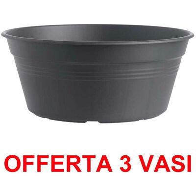ALTRO Offerta 3 Vaso Per Bulbi Green Basics Bowl 27cm Living Black ALTRO Offerta 3 Vaso Per Bulbi Green Basics Bowl 27cm Living Black