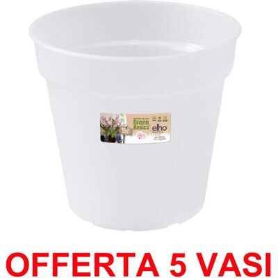 ALTRO Offerta 5 Vaso Orchidee Green Basics Orchid 15cm Trasparente ALTRO Offerta 5 Vaso Orchidee Green Basics Orchid 15cm Trasparente