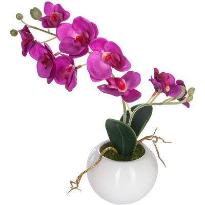 ATMOSPHERA Orchidea Artificiale In Ceramica H25cm - Fushia - Créateur D'Intérieur ATMOSPHERA Orchidea Artificiale In Ceramica H25cm - Fushia - Créateur D'Intérieur