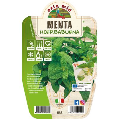 Mitac Menta Hierbabuena Mitac Menta Hierbabuena