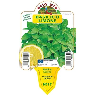 Mitac Basilico Limone Mitac Basilico Limone