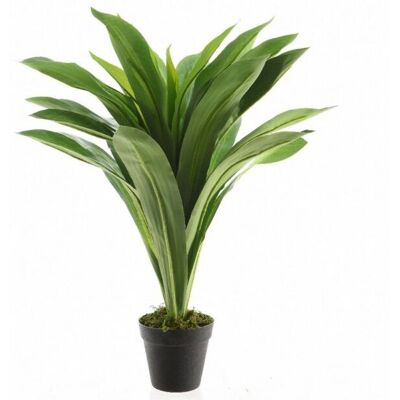 Kaemingk Pianta Dracaena Con Vaso 80cm Kaemingk Pianta Dracaena Con Vaso 80cm