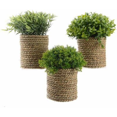 Kaemingk Pianta Verde Artificiale In Vaso 21 Cm Kaemingk Pianta Verde Artificiale In Vaso 21 Cm