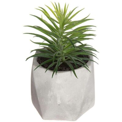 ATMOSPHERA Pianta Grassa Artificiale Vaso In Cemento H14cm - Modello C - Créateur D'Intérieur ATMOSPHERA Pianta Grassa Artificiale Vaso In Cemento H14cm - Modello C - Créateur D'Intérieur