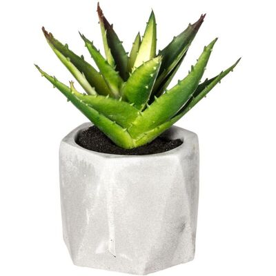ATMOSPHERA Pianta Grassa Artificiale Vaso In Cemento H14cm - Modello B - Créateur D'Intérieur ATMOSPHERA Pianta Grassa Artificiale Vaso In Cemento H14cm - Modello B - Créateur D'Intérieur