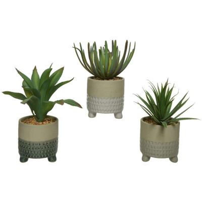 Kaemingk Pianta Artificiale Succulent In Vaso H 20cm Tipologie Assortite Kaemingk Pianta Artificiale Succulent In Vaso H 20cm Tipologie Assortite
