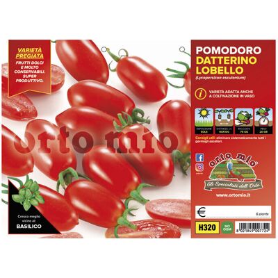 Mitac Pomodoro Lobello Datterino Mitac Pomodoro Lobello Datterino