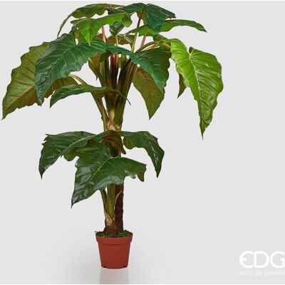 EDG Enzo De Gasperi Alocasia Chic Con Vaso Artificiale H 196 Cm Green EDG Enzo De Gasperi Alocasia Chic Con Vaso Artificiale H 196 Cm Green