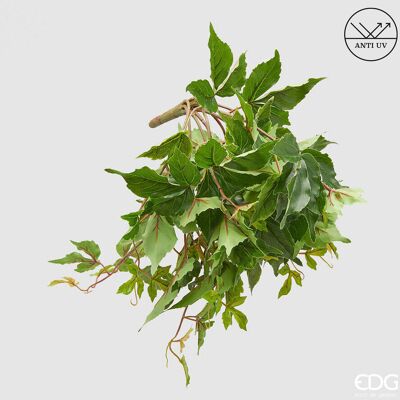 EDG Enzo De Gasperi Cissus Bell Cadente Anti-uv H 50 Cm Pianta Artificiale Verde EDG Enzo De Gasperi Cissus Bell Cadente Anti-uv H 50 Cm Pianta Artificiale Verde