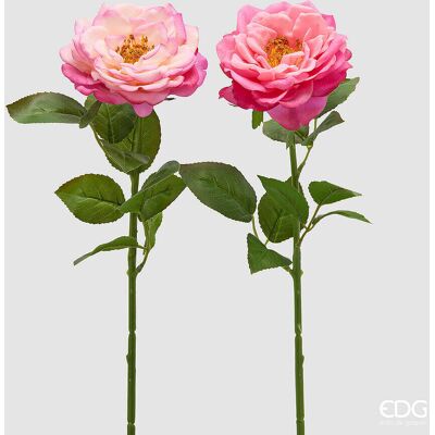 EDG Enzo De Gasperi Rosa Ramo Con Foglie Ass. H 58 Cm Pianta Artificiale Rosa Crema 1 Pz EDG Enzo De Gasperi Rosa Ramo Con Foglie Ass. H 58 Cm Pianta Artificiale Rosa Crema 1 Pz