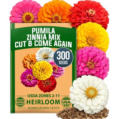 AULEDIO Semi Zinnia 900 Pezzi, Zinnia Elegans Fiori Giardino AULEDIO Semi Zinnia 900 Pezzi, Zinnia Elegans Fiori Giardino