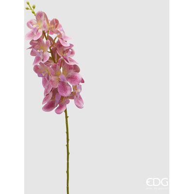 EDG Enzo De Gasperi Orchidea Vanda Ramo Artificiale H 70 Cm Fuchsia EDG Enzo De Gasperi Orchidea Vanda Ramo Artificiale H 70 Cm Fuchsia