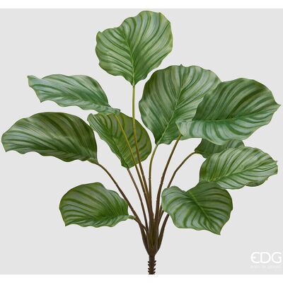 EDG Enzo De Gasperi Calathea Cespuglio X10 H 50 Cm Pianta Artificiale Verde EDG Enzo De Gasperi Calathea Cespuglio X10 H 50 Cm Pianta Artificiale Verde