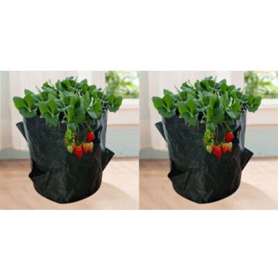 OEM Sacchi Per La Coltivazione Di Fragole, 2 Pezzi 18l/5 Galloni Sacchi Per Ortaggi, Sacco Per Semina In Tessuto Non Tessuto Con Finestra, Sacco Per Ortaggi Da Giardino (23x28 Cm (4 Aperture)) OEM Sacchi Per La Coltivazione Di Fragole, 2 Pezzi 18l/5 Galloni Sacchi Per Ortaggi, Sacco Per Semina In Tessuto Non Tessuto Con Finestra, Sacco Per Ortaggi Da Giardino (23x28 Cm (4 Aperture))