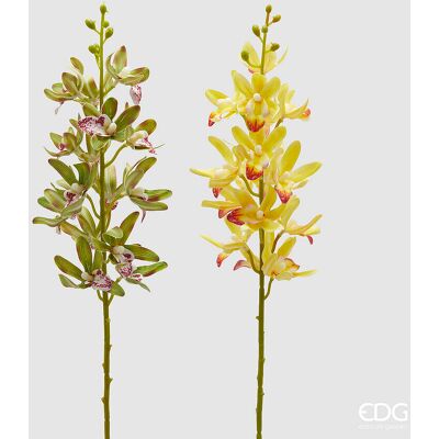 EDG Enzo De Gasperi Ramo Orchidea Cymbidium Artificiale H 70 Cm Ass. Yellow Green 1 Pz EDG Enzo De Gasperi Ramo Orchidea Cymbidium Artificiale H 70 Cm Ass. Yellow Green 1 Pz