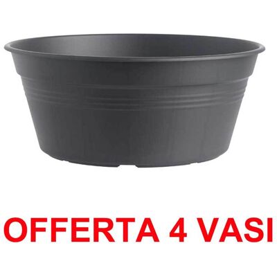 ALTRO Offerta 4 Vaso Per Bulbi Green Basics Bowl 33cm Living Black ALTRO Offerta 4 Vaso Per Bulbi Green Basics Bowl 33cm Living Black