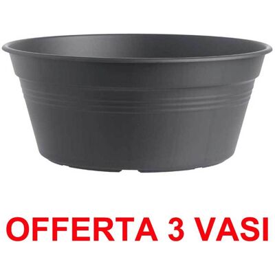 ALTRO Offerta 3 Vaso Per Bulbi Green Basics Bowl 38cm Living Black Elho ALTRO Offerta 3 Vaso Per Bulbi Green Basics Bowl 38cm Living Black Elho