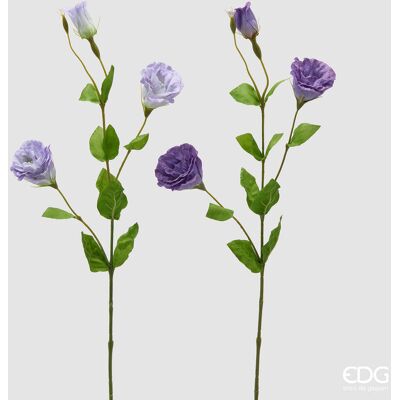 EDG Enzo De Gasperi Lisiantus Ramo Con Foglie Ass. H 71 Cm D 10 Cm Pianta Artificiale Colore Violet Mix 1 Pz EDG Enzo De Gasperi Lisiantus Ramo Con Foglie Ass. H 71 Cm D 10 Cm Pianta Artificiale Colore Violet Mix 1 Pz